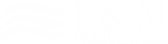 P & M MULTI-SERVICES
